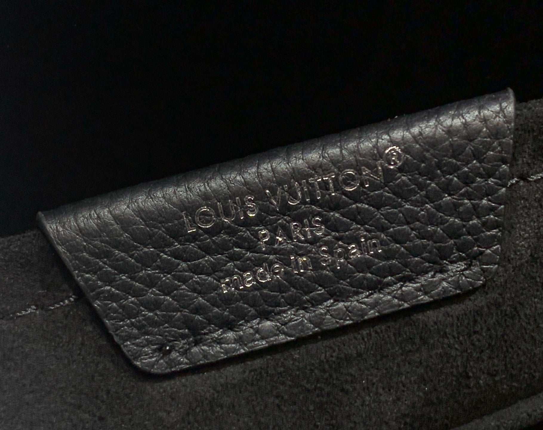 Louis Vuitton leather backpack close-up of embossed brand logo on flap