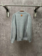 Louis Vuitton knit sweater long sleeves, back view, light blue, logo patch
