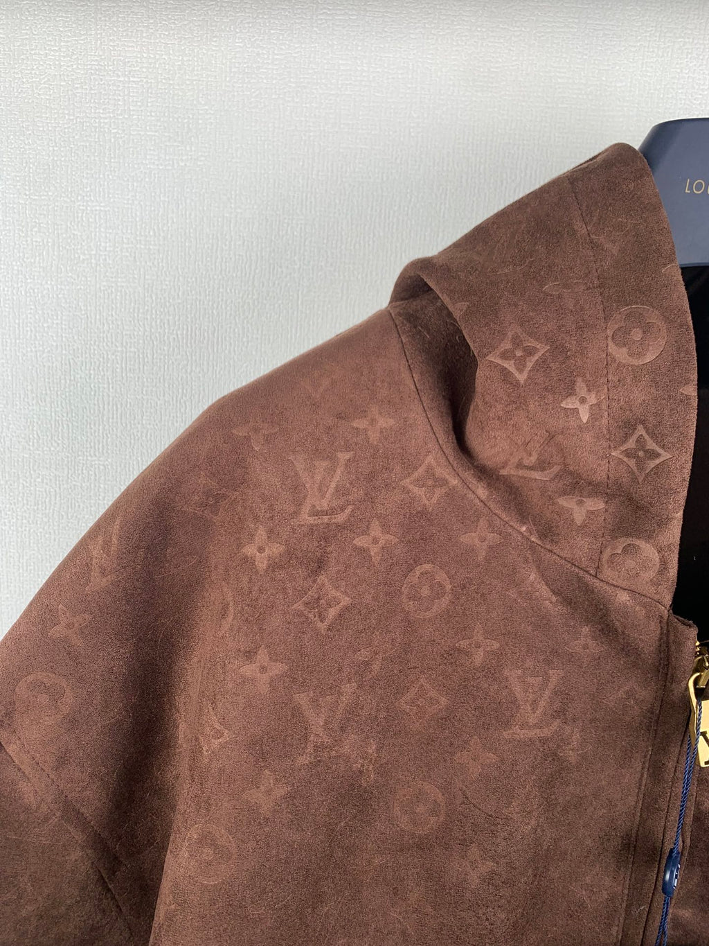 Louis Vuitton hooded jacket collar and shoulder close-up, monogram pattern