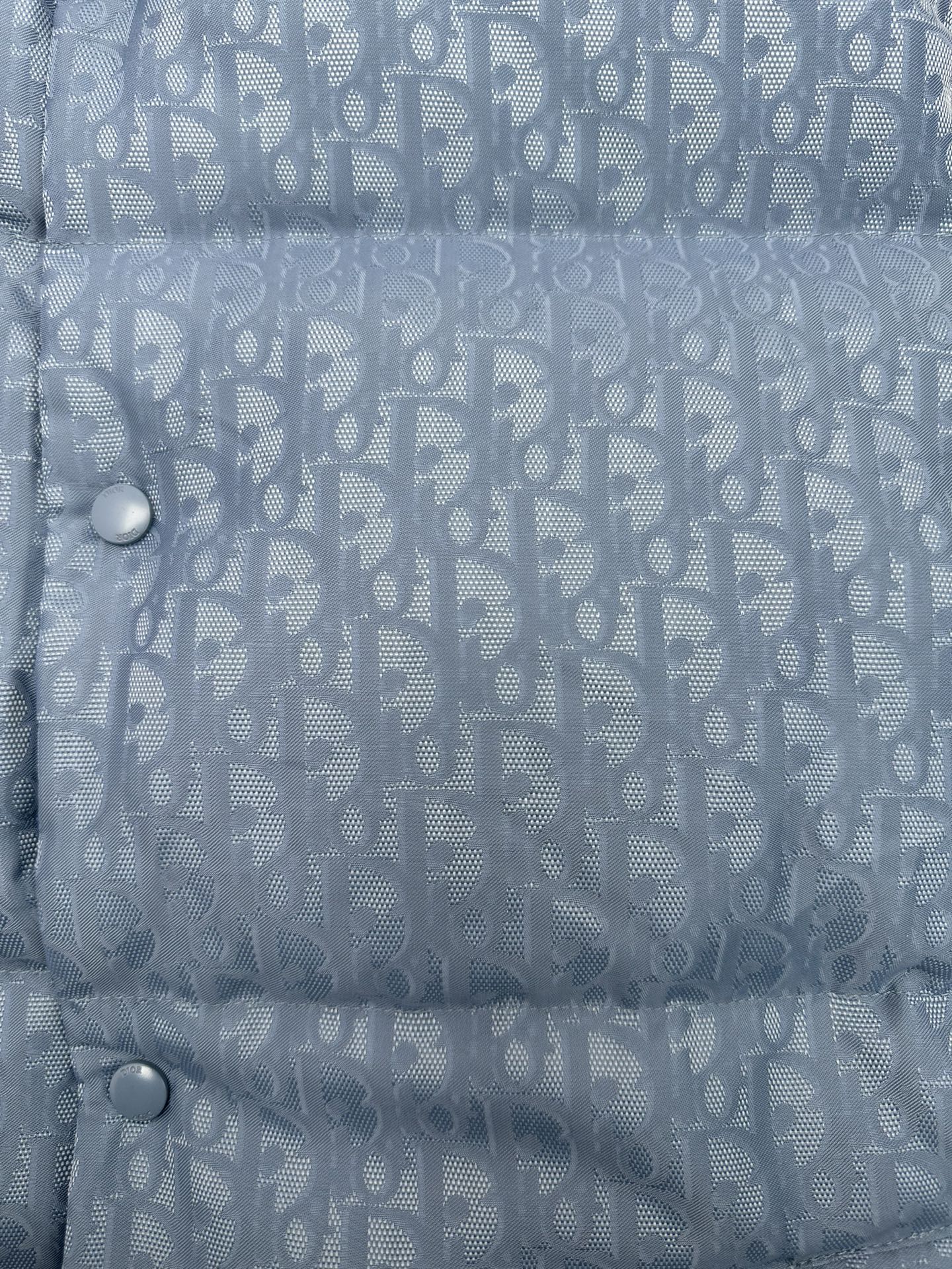 Blue Dior monogram puffer vest front placket detail with silver snap buttons.