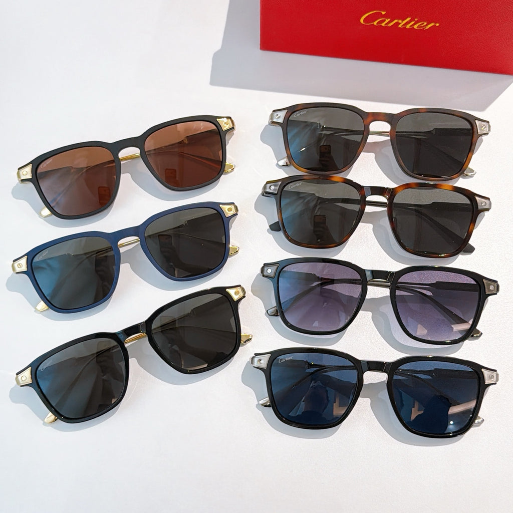 Collection of sunglasses with mixed frames and tinted lenses, each with gold-tone details.