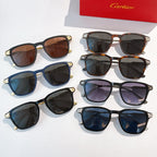 Collection of sunglasses with mixed frames and tinted lenses, each with gold-tone details.