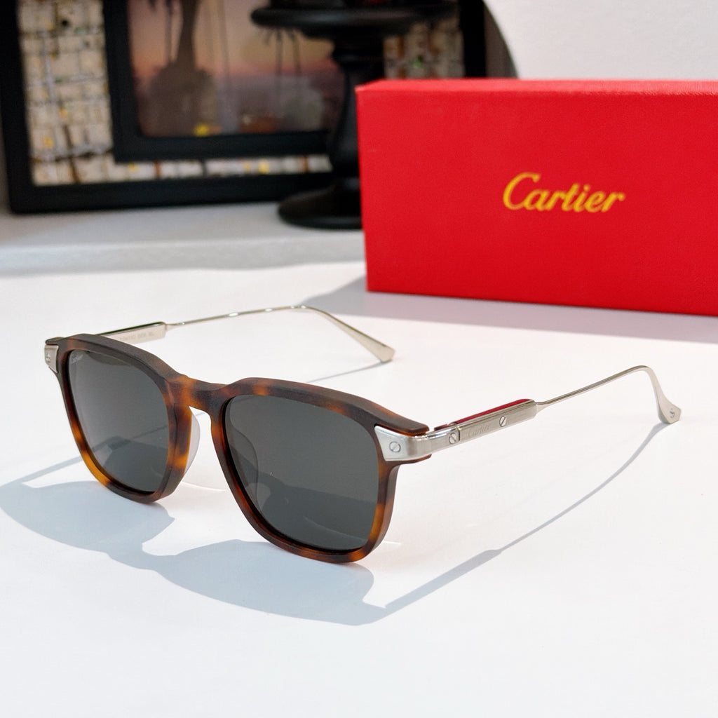 Sunglasses with tortoiseshell frame and dark lenses, slim metal arms with gold accents.