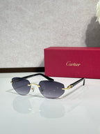Cartier sunglasses with dark frame, gold accents, and smoky blue lenses
