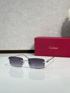 Sunglasses with dark gray lenses, metal bridge and gold-tone temple details