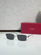 Sunglasses with dark gray lenses, metal frame and gold-tone temple accents