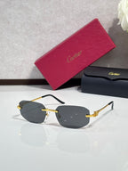 Gold-tone sunglasses with smoky gray lenses and black temple accents