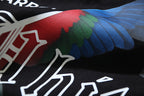Black T-shirt front graphic with red, green, and blue bird wings