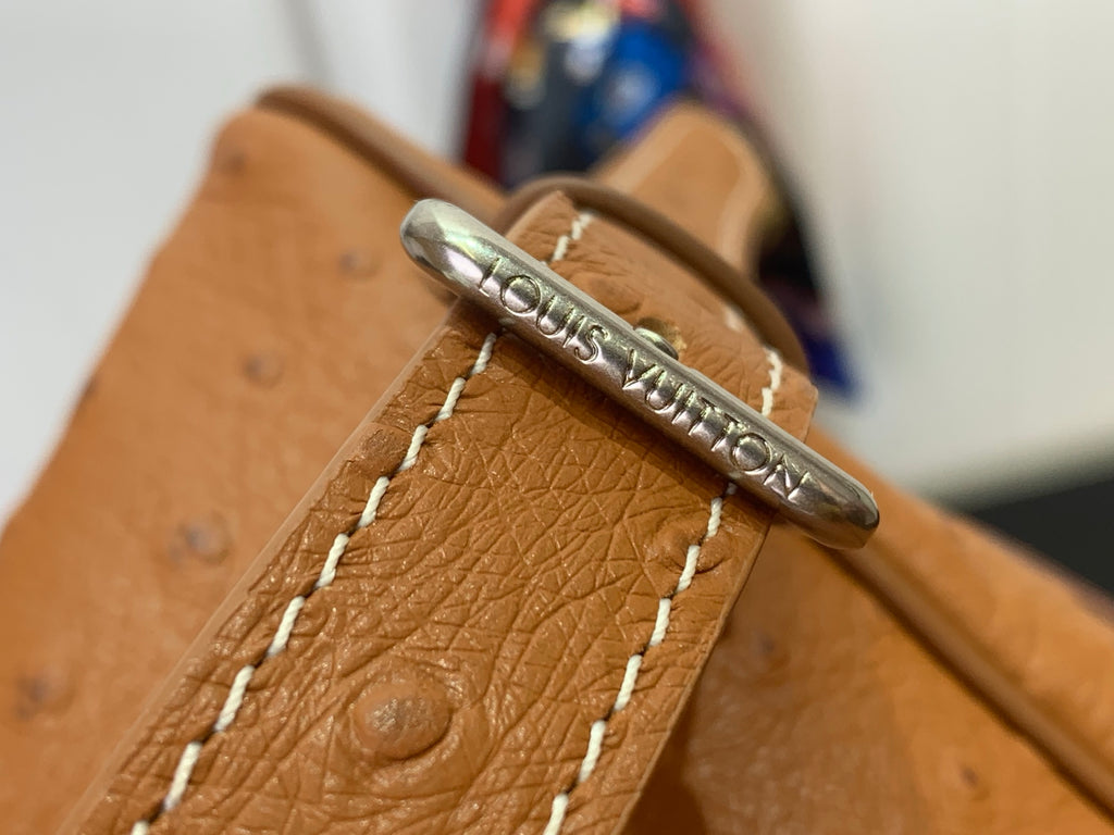 Louis Vuitton bag hardware ring on tan leather with stitched panel