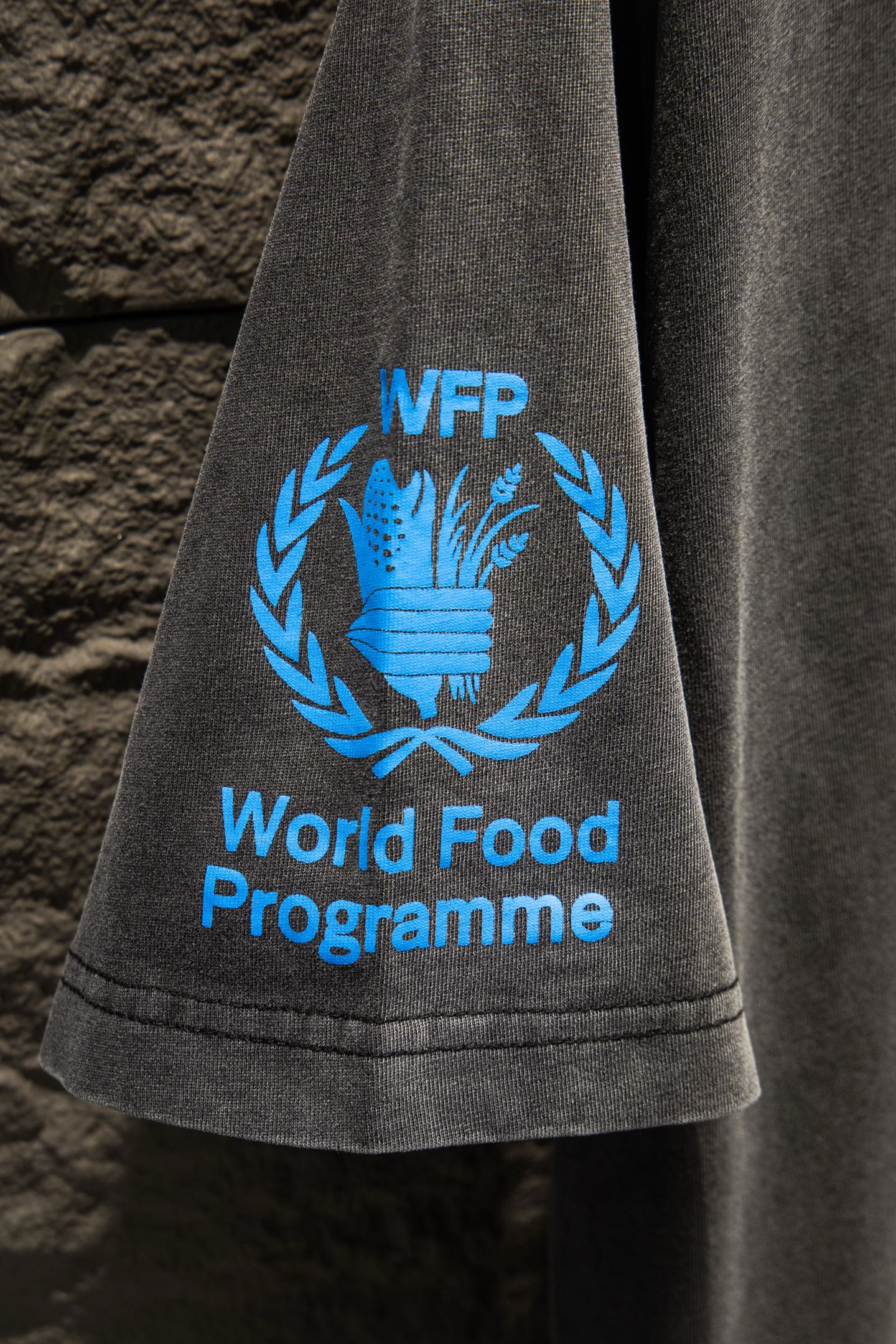 Gray T-shirt sleeve with blue laurel WFP graphic and “World Food Programme”