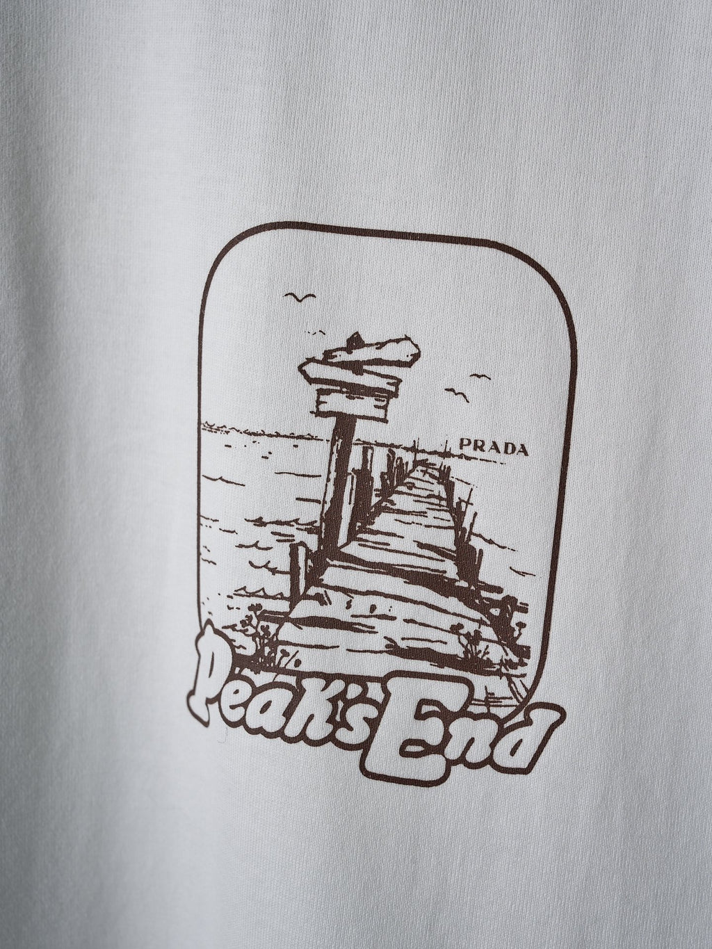 White T-shirt close-up of printed logo graphic on chest