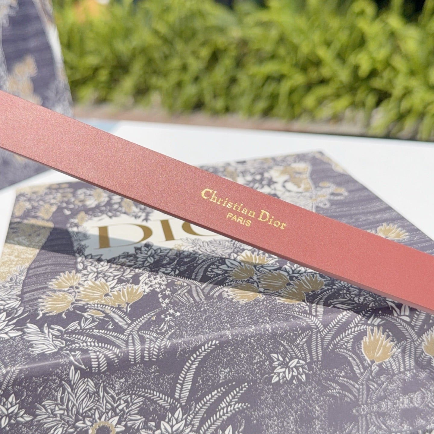Rust belt strap with 'Christian Dior' and 'PARIS' printed