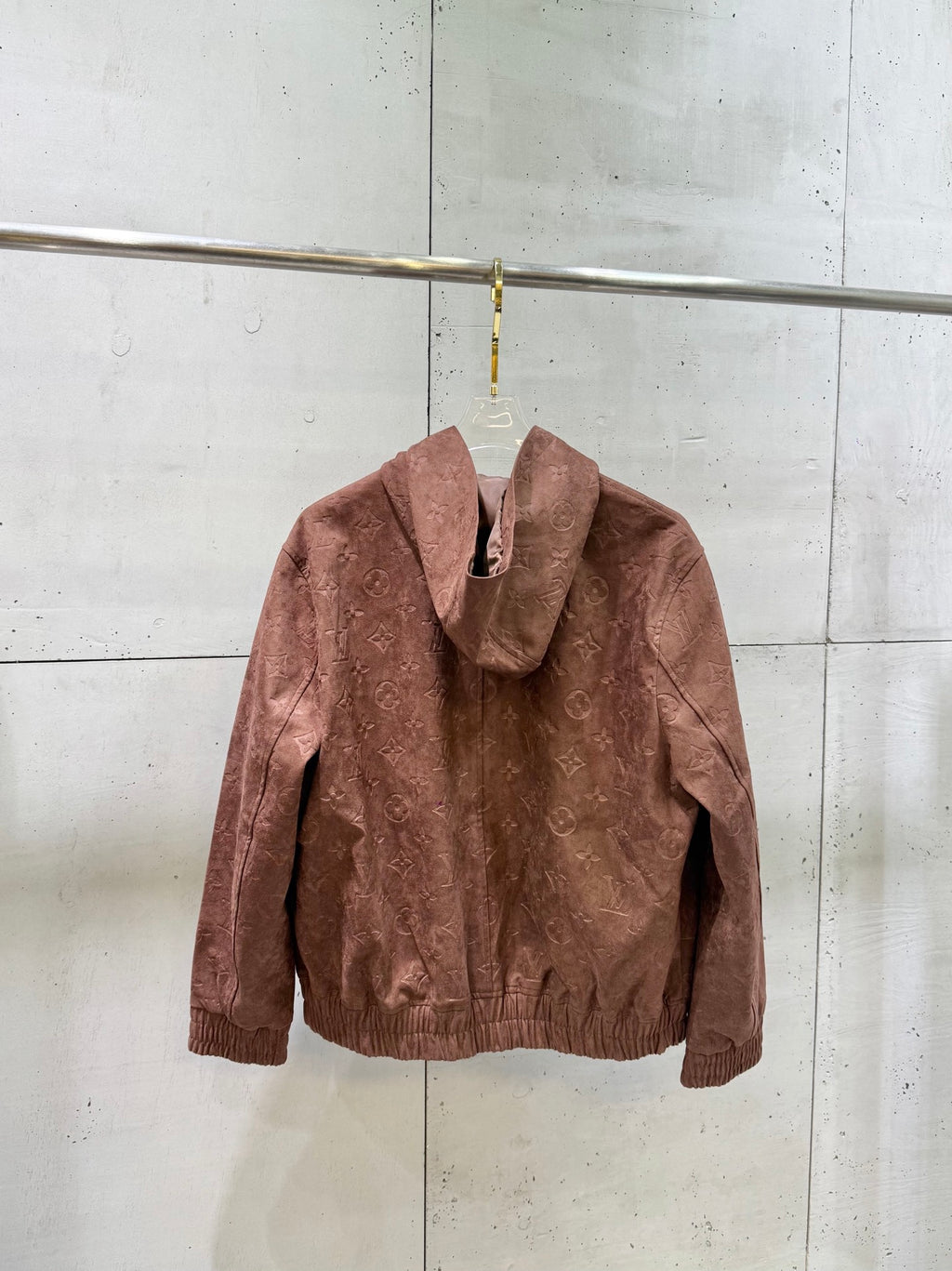 Louis Vuitton monogram hooded jacket, mauve-brown, back view