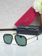 Square black acetate sunglasses with green-tinted lenses, gold-tone temples