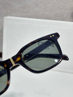 Celine sunglasses close-up, dark lenses, tortoise frame, gold hinge