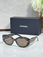 Chanel cat-eye sunglasses with tortoiseshell frame and gold emblem temple details