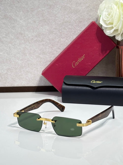 Cartier sunglasses with tortoiseshell arms, green lenses and gold-tone details