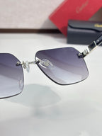 Cartier sunglasses close-up of dark tinted lens and silver-tone hinge details