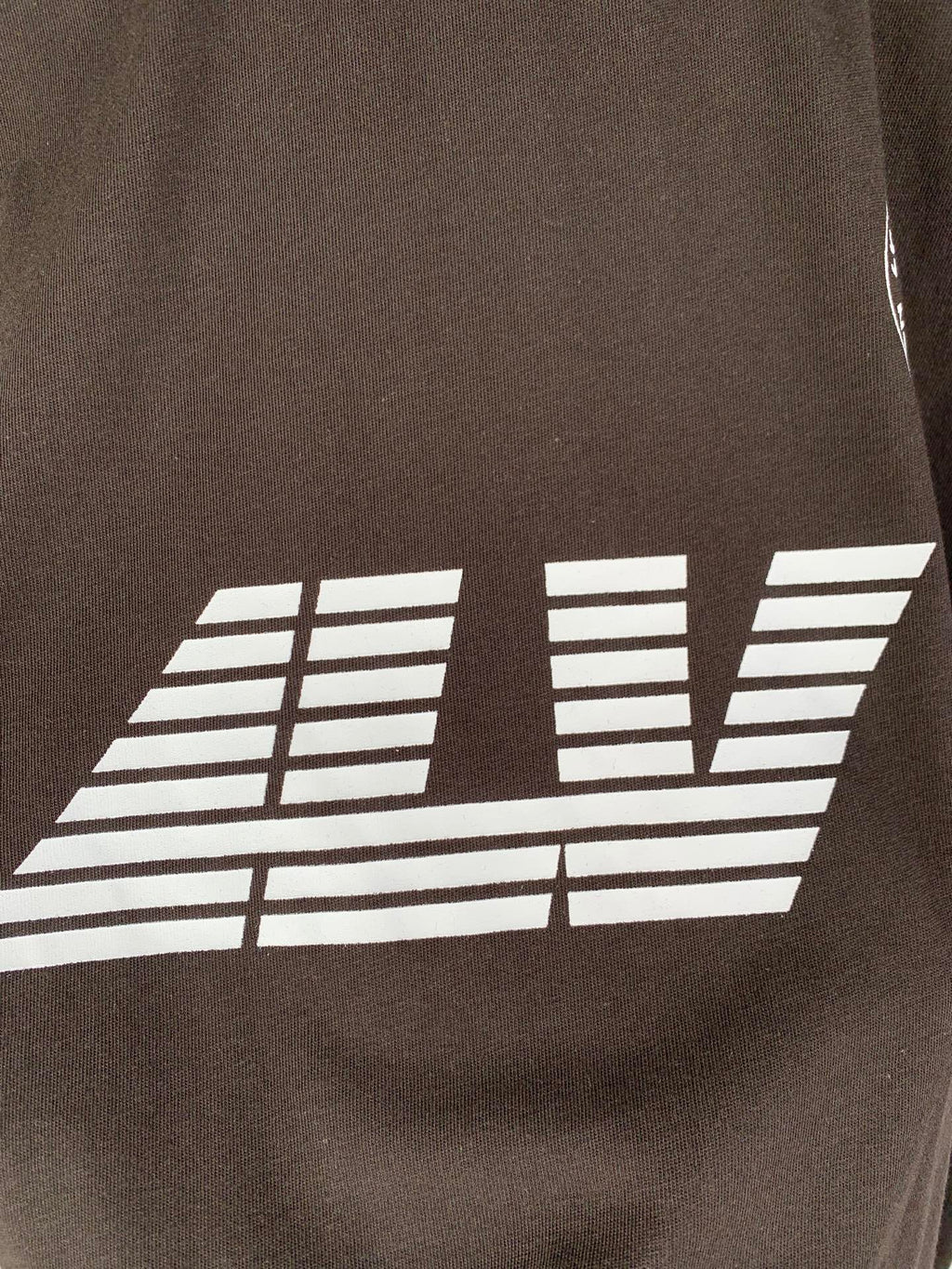 Close-up of white graphic print on dark brown T-shirt front