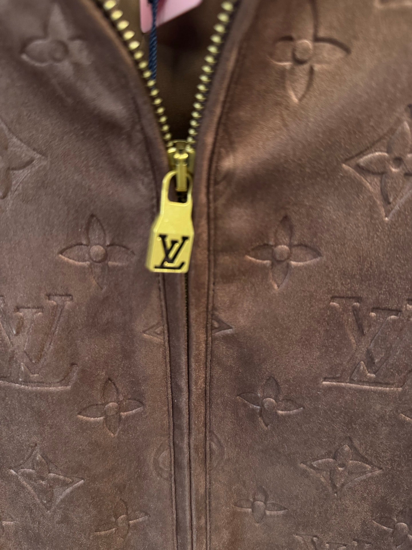Louis Vuitton monogram hooded jacket, brown, close-up of gold zipper and monogram