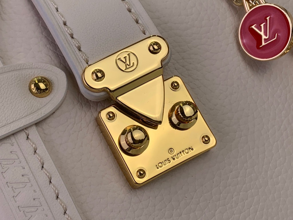 Louis Vuitton handbag hardware close-up: gold lock plate with LV emblem
