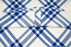 Burberry plaid shirt front view close-up: button placket and collar, blue-and-cream