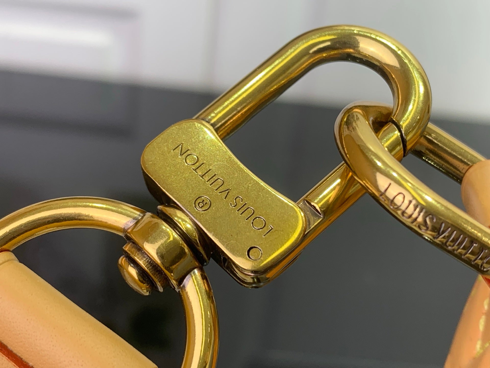 Louis Vuitton monogram bag hardware close-up with gold clasp and rings