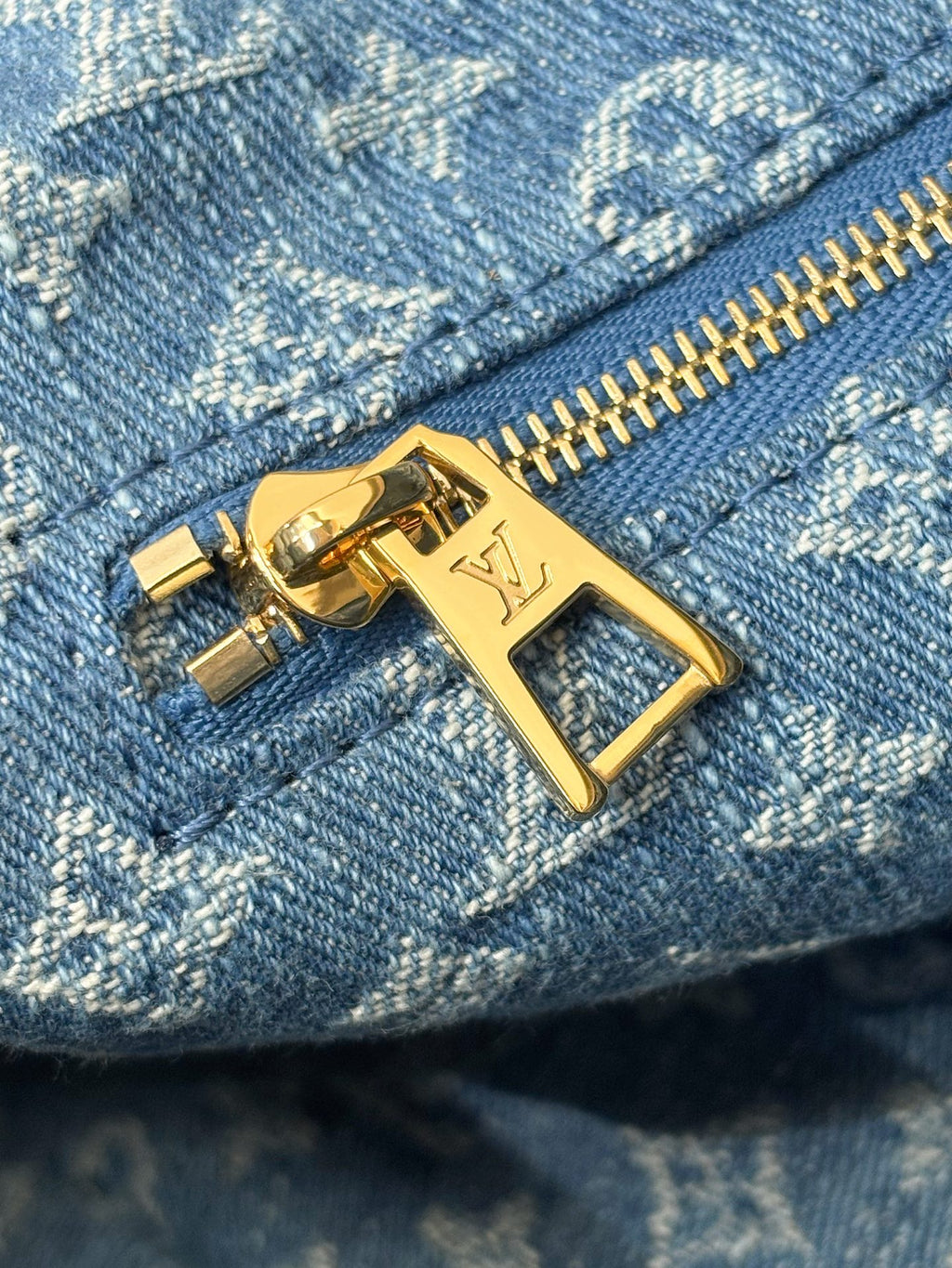 Louis Vuitton Bags