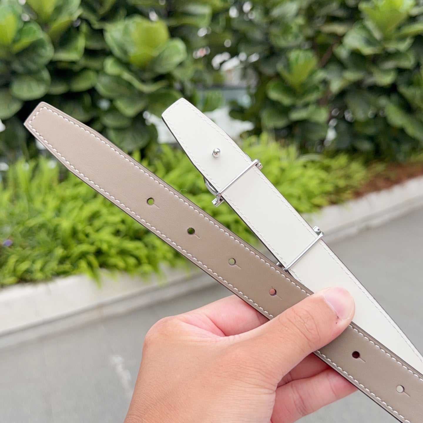Belt straps with aligned holes, light gray-beige leather and silver buckle hardware