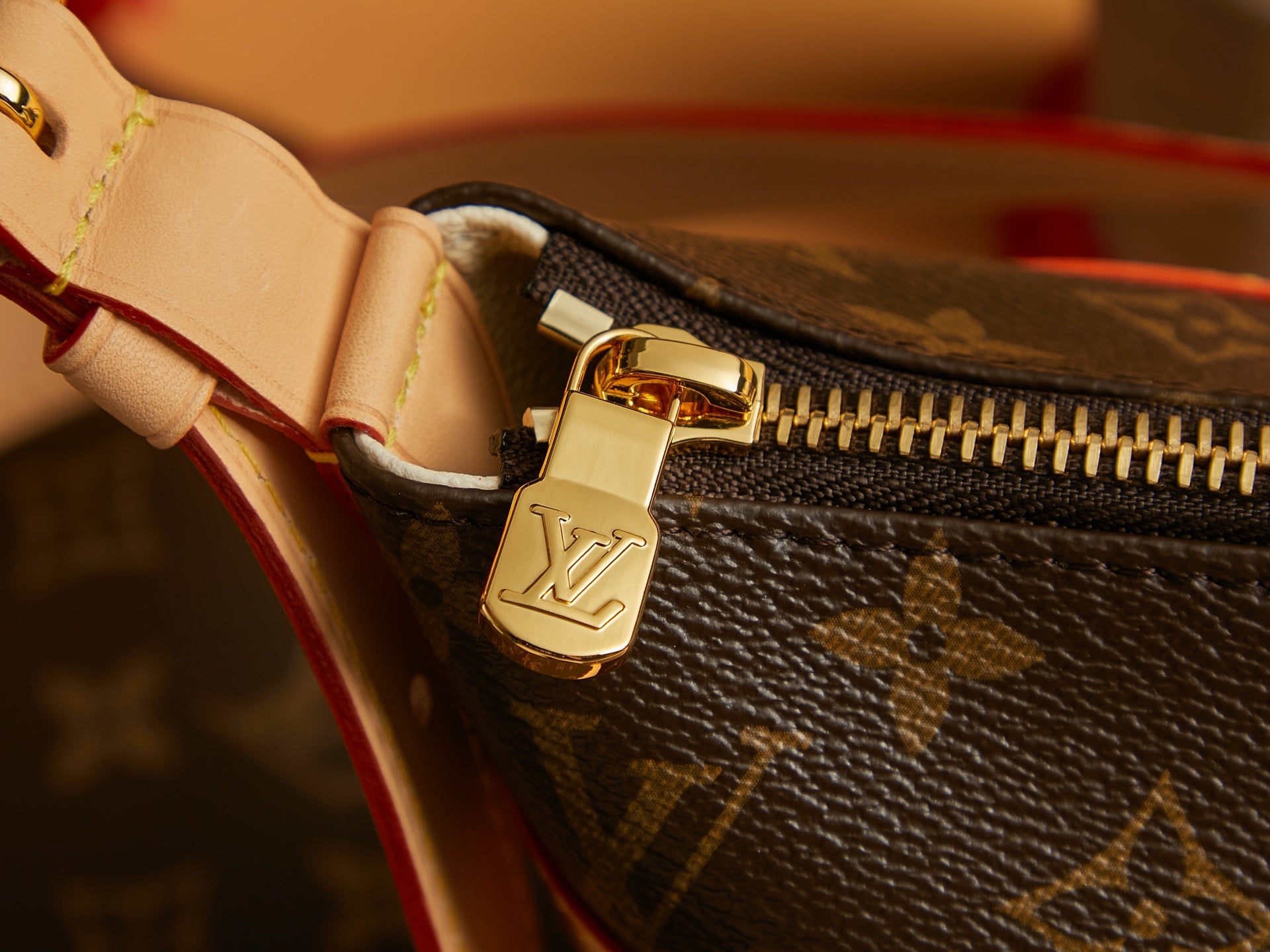 Louis Vuitton Bags