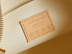 Louis Vuitton Bags