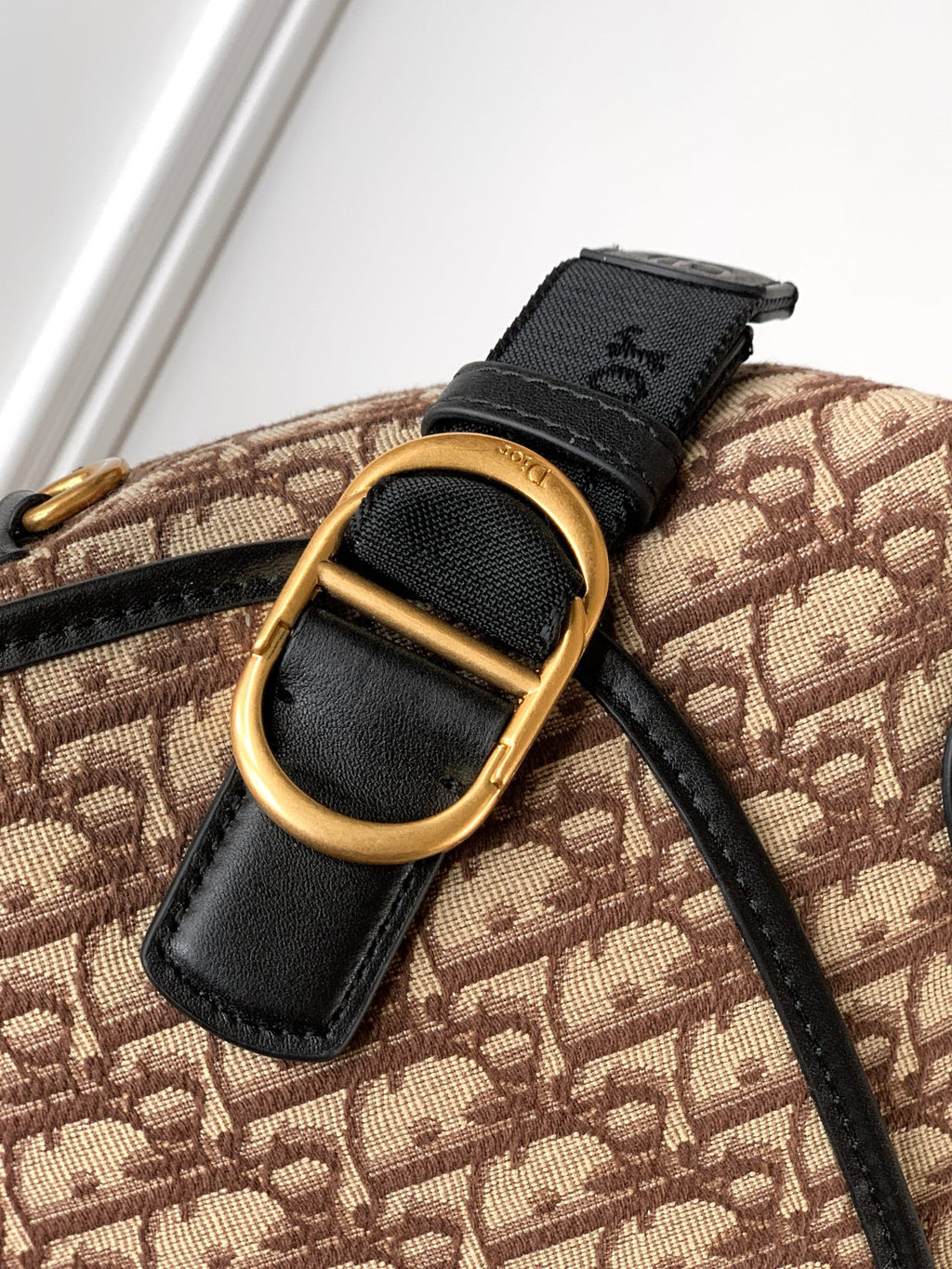 Dior bag detail: beige patterned canvas with black strap and gold-tone ring buckle
