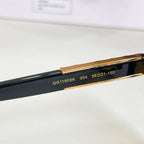 Sunglasses temple with printed model numbers on black, gold trim