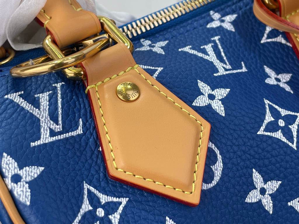 Louis Vuitton blue monogram bag close-up of tan leather patch and gold snap button