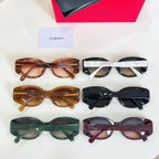 Assorted eyeglasses set with tortoiseshell, black, green, and burgundy round frames and card