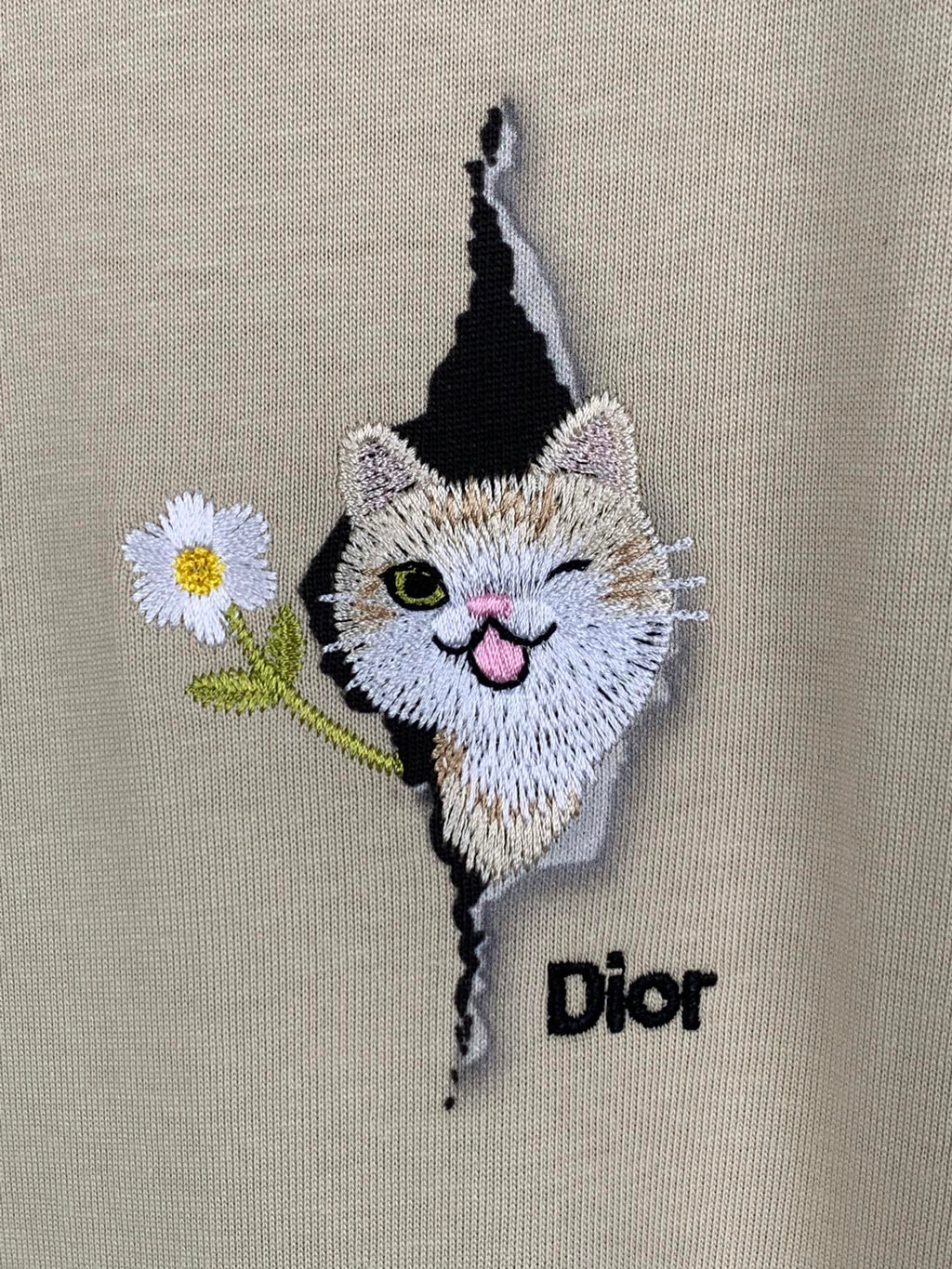 Cat and Dior logo embroidery on a beige T-shirt