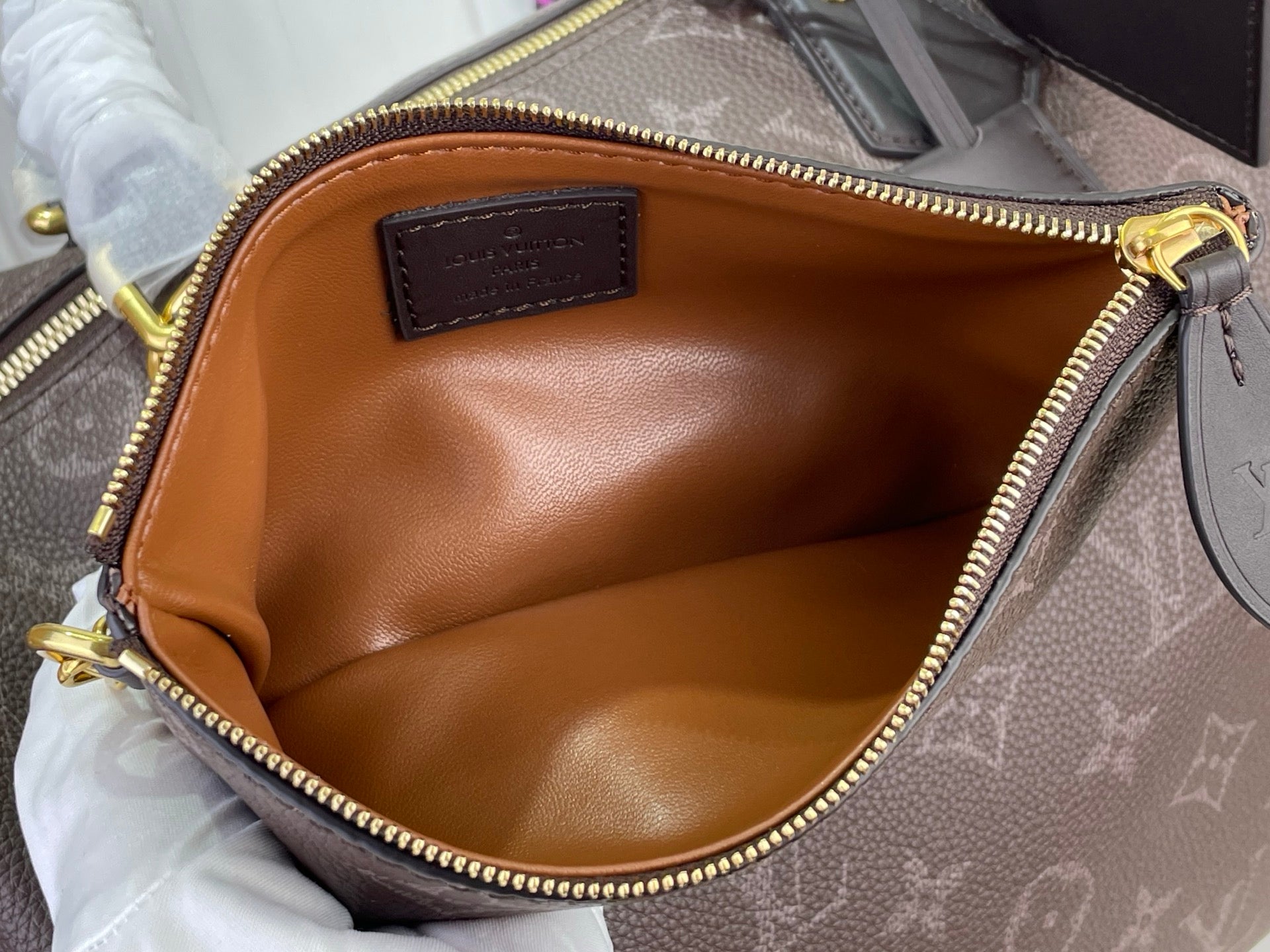 Louis Vuitton bag interior view with tan leather lining and gold zipper trim