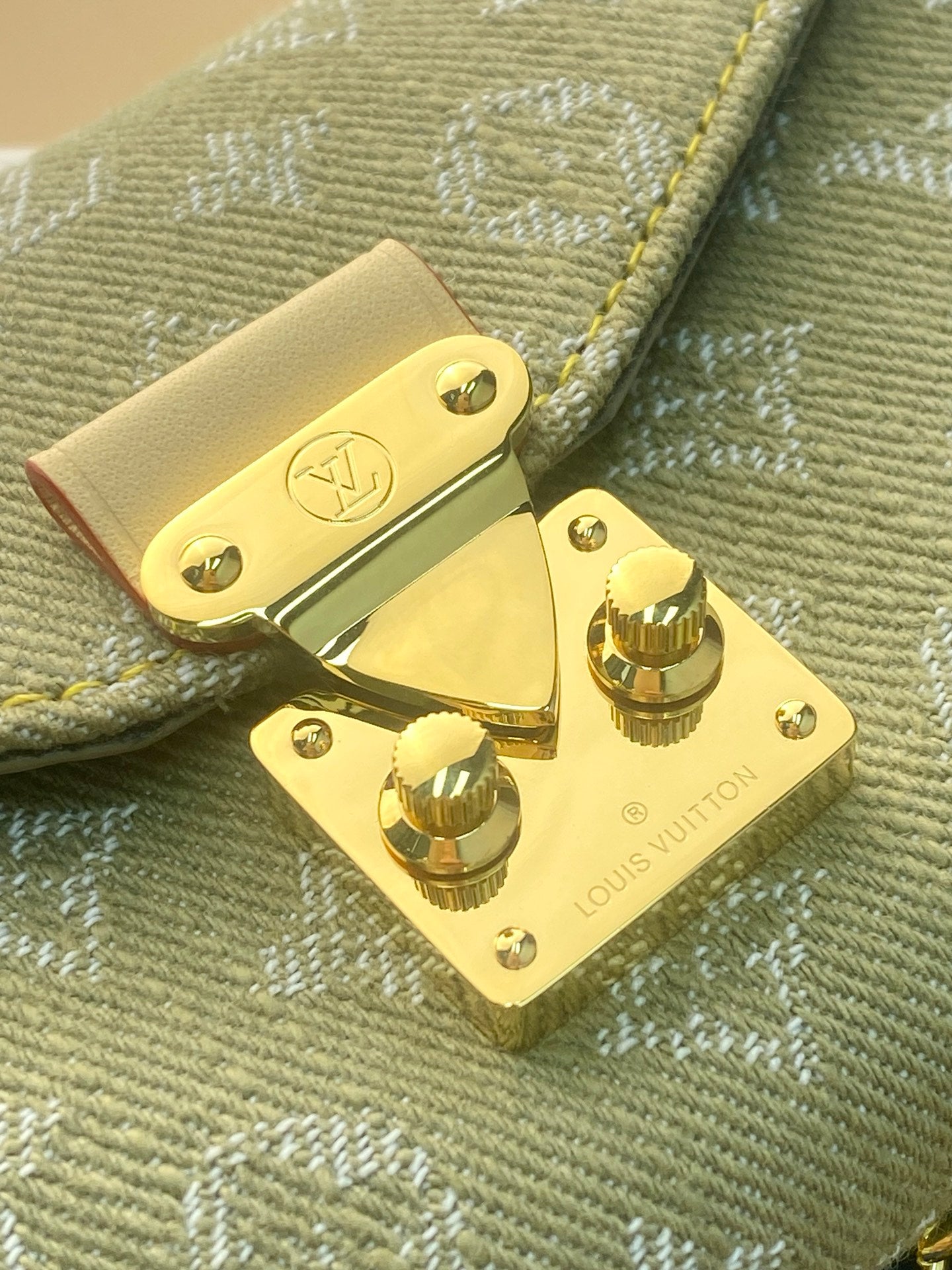 Close-up of sage monogram crossbody bag clasp with gold-tone hardware and screws