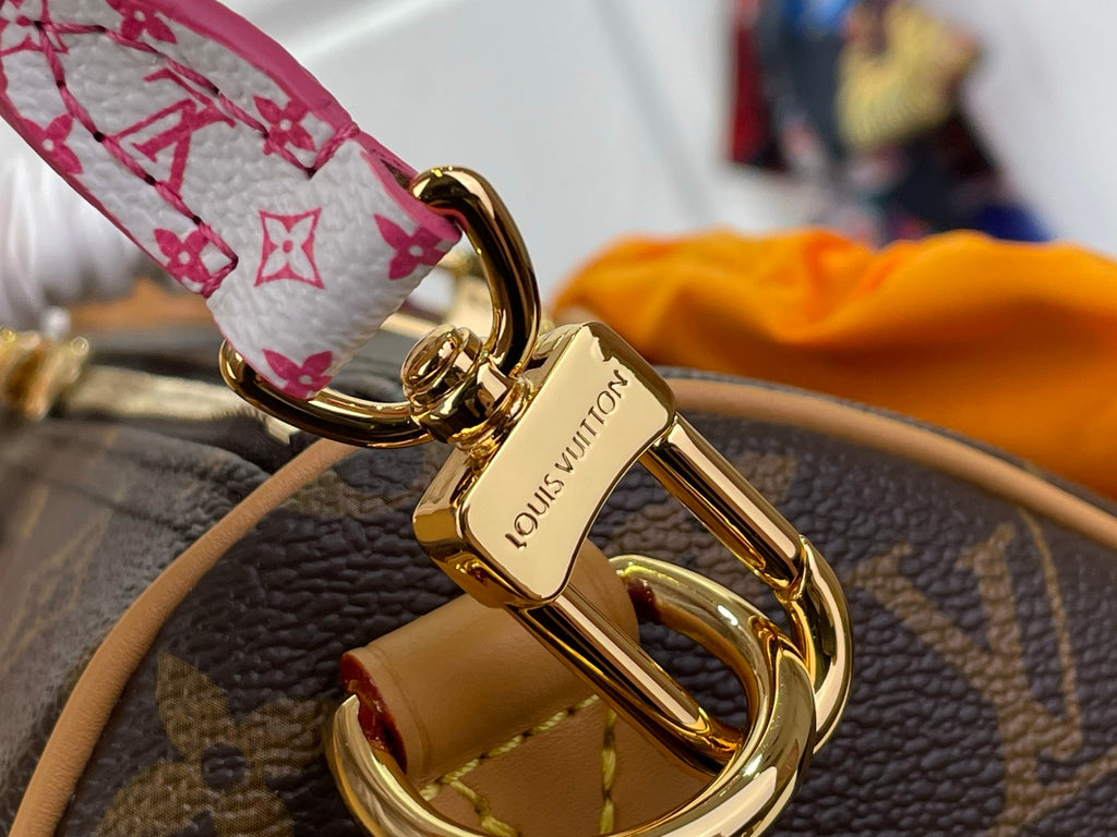 Louis Vuitton bag strap clasp with gold-tone hardware and leather label
