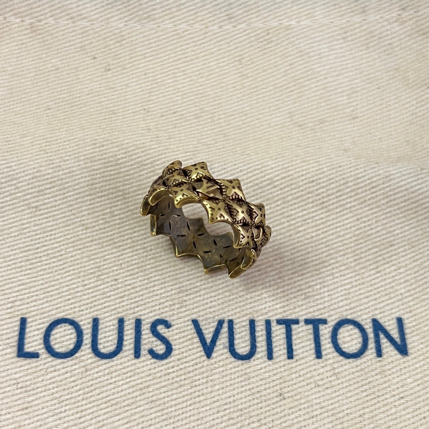 Louis Vuitton Accessories