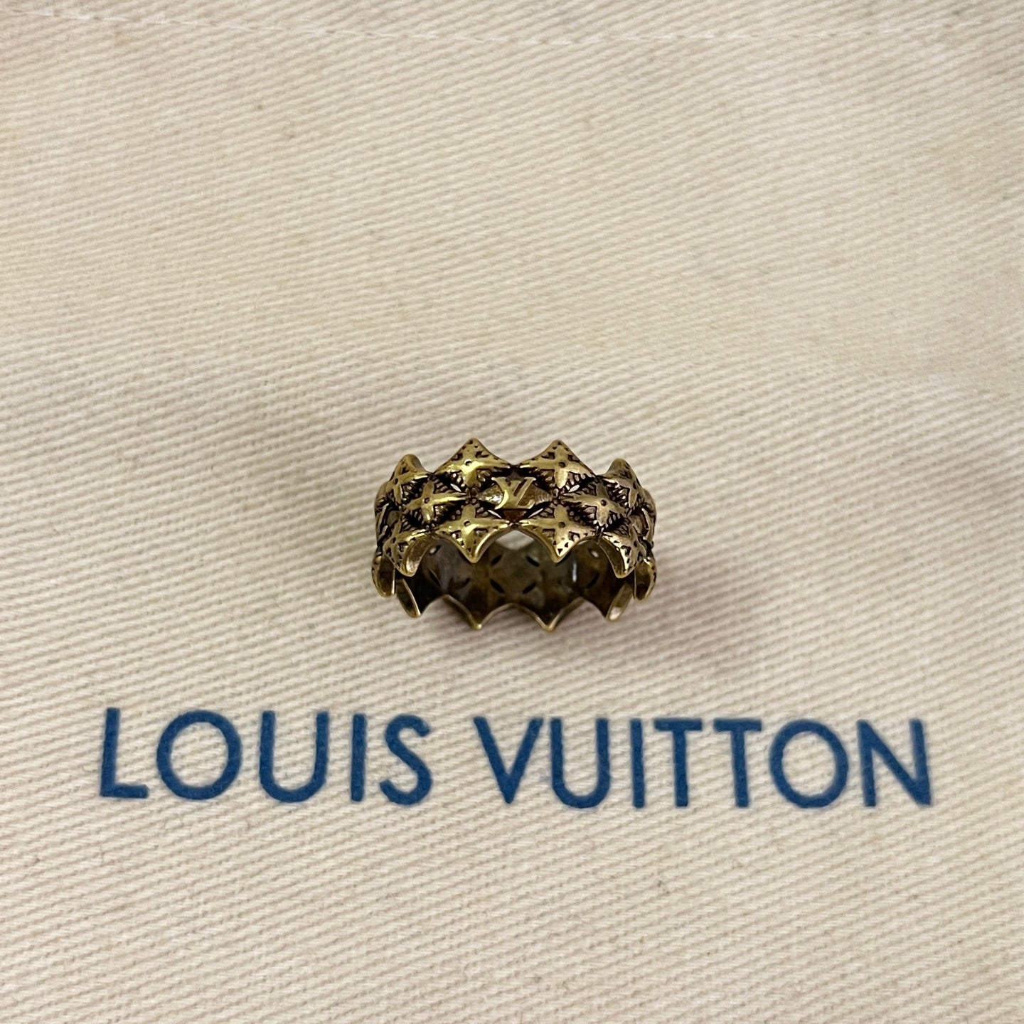 Louis Vuitton Accessories