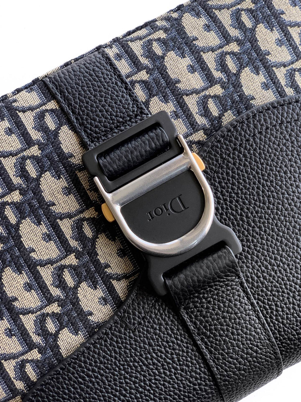 Dior strap buckle and D-shaped ring on navy-beige logo canvas