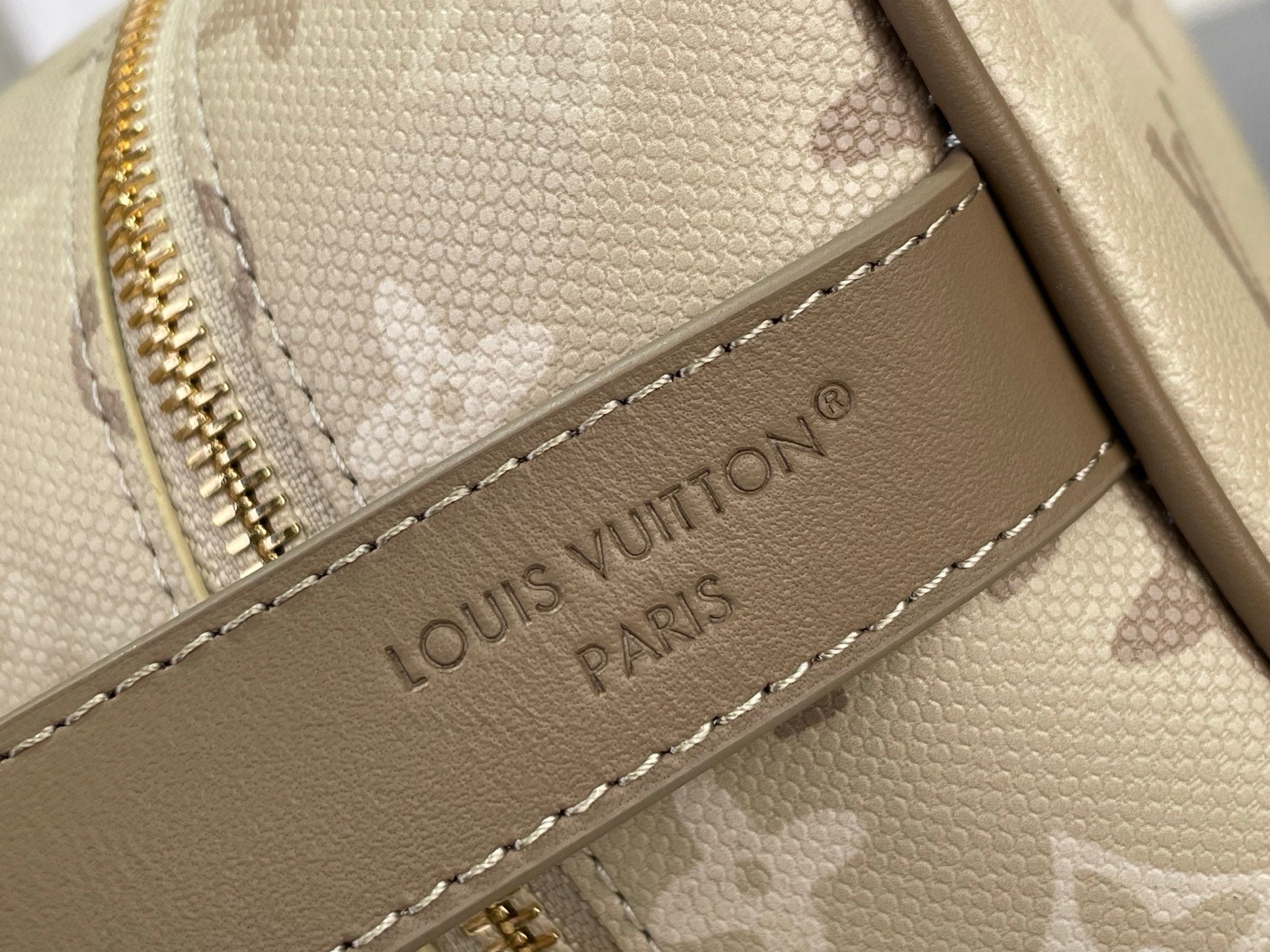 Louis Vuitton bag interior label on beige textured leather panel
