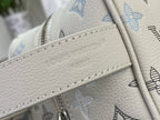 Embossed Louis Vuitton Paris logo plate on cream leather bag strap