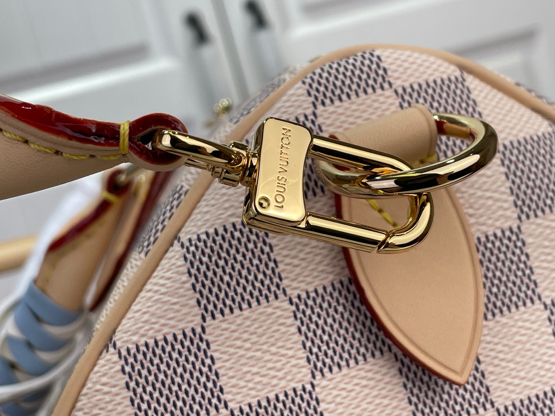 Louis Vuitton Damier handbag clasp detail with gold-tone hardware and loop