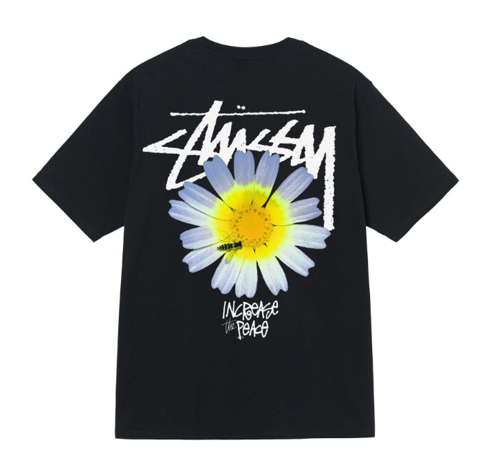 Clothes Stussy