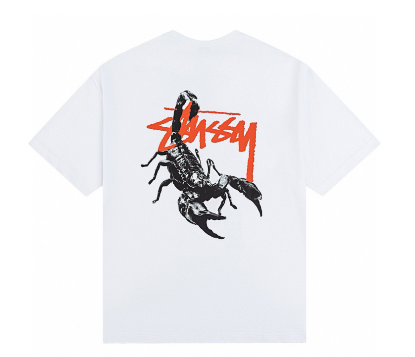 Clothes Stussy