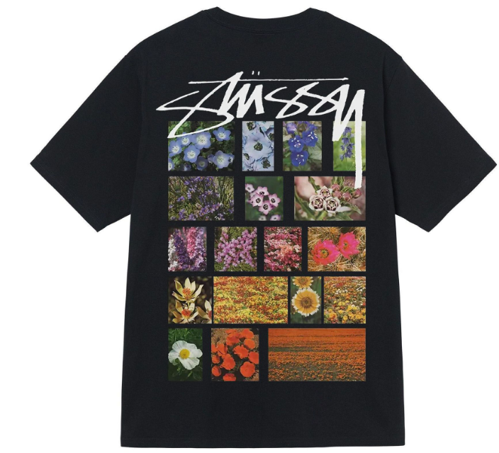 Clothes Stussy