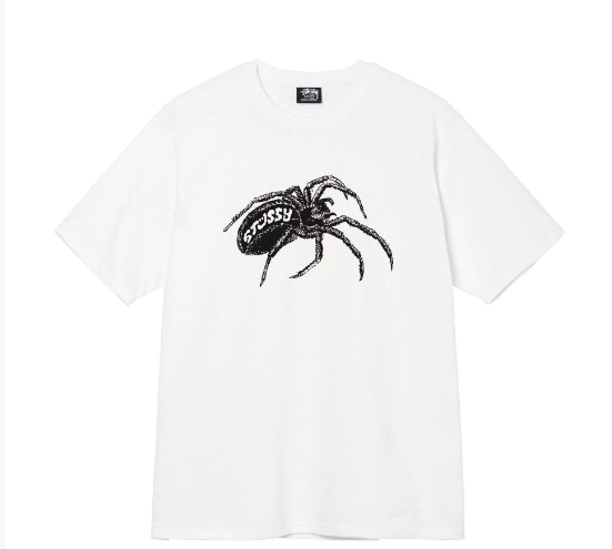 Clothes Stussy
