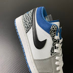Low-top sneaker quarter view with blue suede collar and leopard-patterned heel
